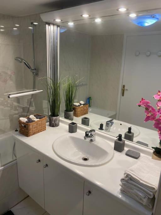 Magnifique Duplex 45 M2 Aux Portes De Paris Metro Barbara A 30Mn Expo Porte De Versailles 몽트루즈 외부 사진