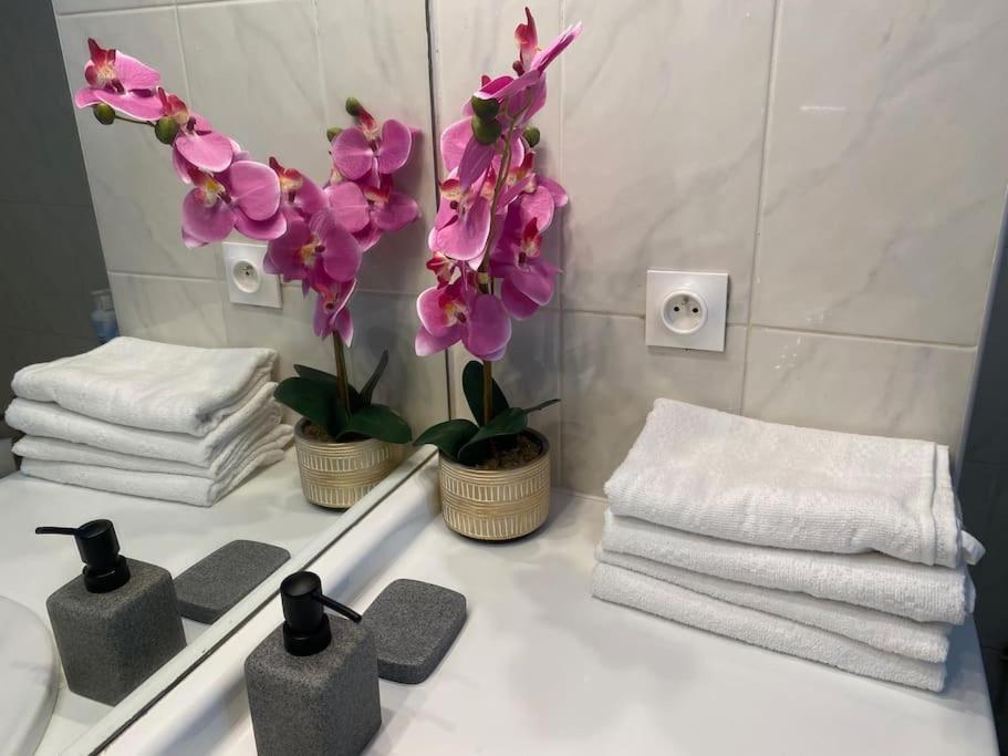 Magnifique Duplex 45 M2 Aux Portes De Paris Metro Barbara A 30Mn Expo Porte De Versailles 몽트루즈 외부 사진