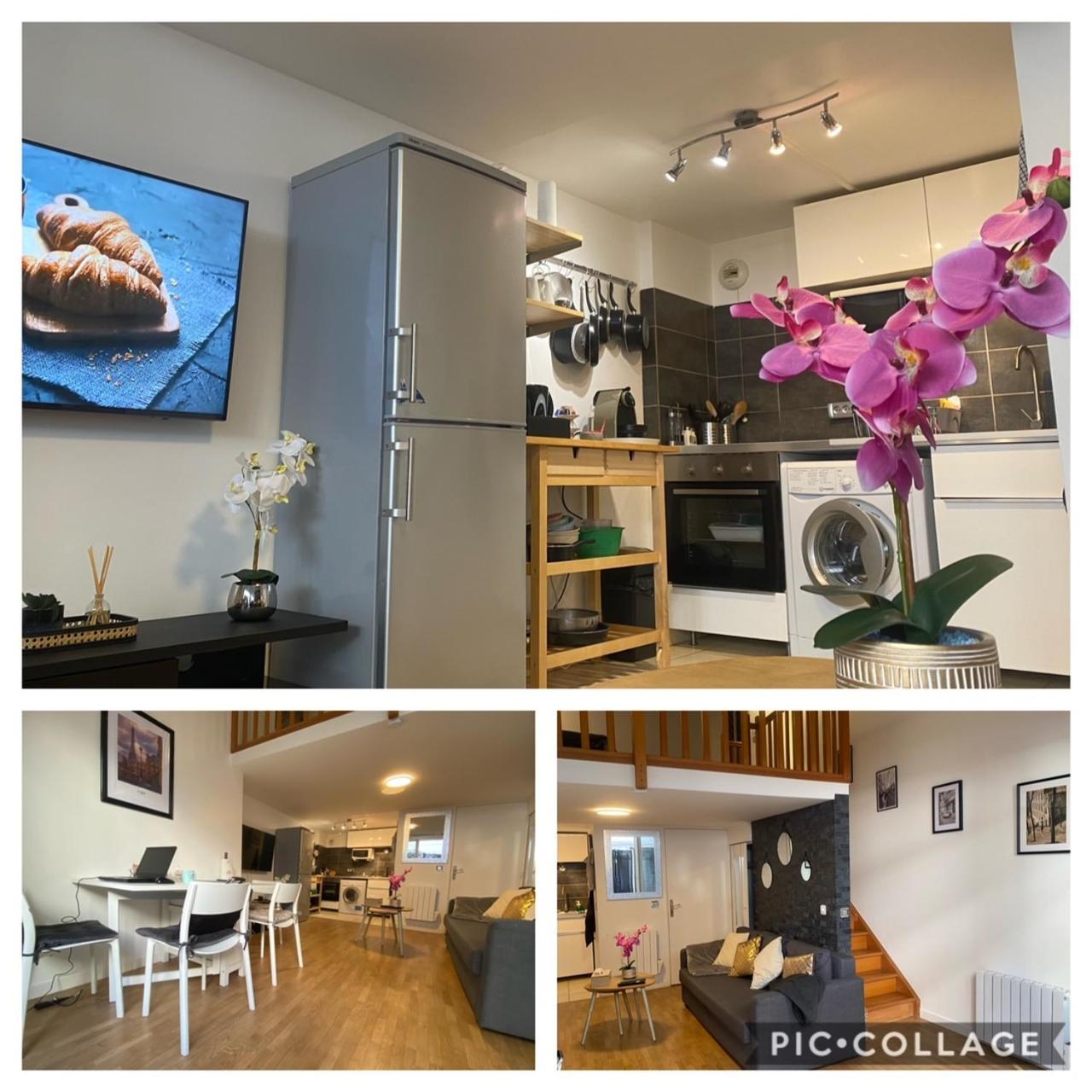 Magnifique Duplex 45 M2 Aux Portes De Paris Metro Barbara A 30Mn Expo Porte De Versailles 몽트루즈 외부 사진